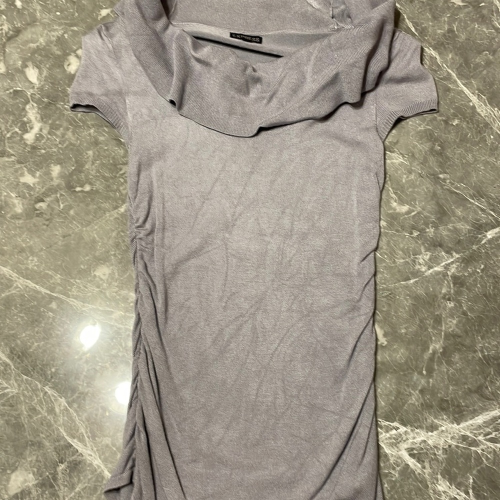 Express short sleeve sweater